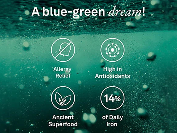 Organika Organic Spirulina Blue-Green Algae Powder 300g - CANADA - 620365018177